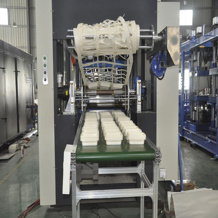 PVC Thermoforming Machine for plastic containers
